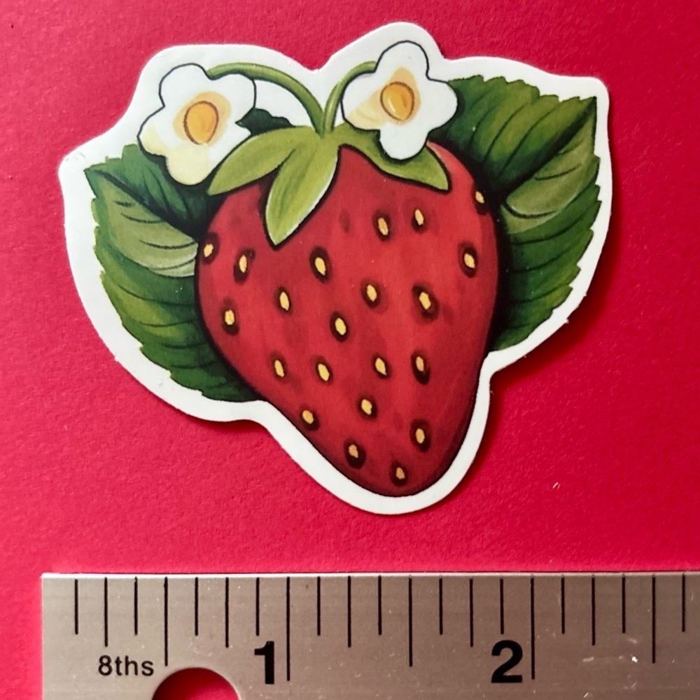 10/$10 Strawberry Aesthetic Vinyl Sticker Waterproof Water Bottle Laptop Crafts